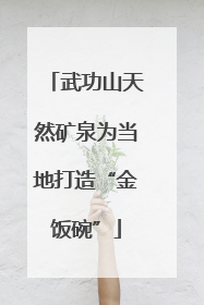 武功山天然矿泉为当地打造“金饭碗”