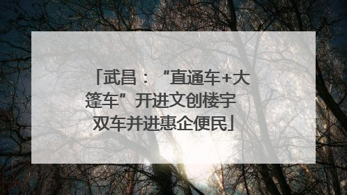 武昌：“直通车+大篷车”开进文创楼宇 双车并进惠企便民