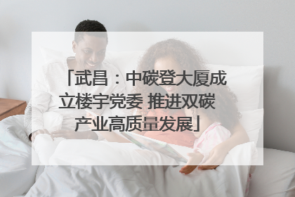武昌：中碳登大厦成立楼宇党委 推进双碳产业高质量发展