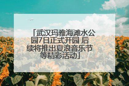 武汉玛雅海滩水公园7日正式开园 后续将推出夏浪音乐节等精彩活动