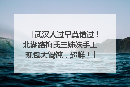 武汉人过早莫错过！北湖路梅氏三姊妹手工现包大馄饨，超鲜！