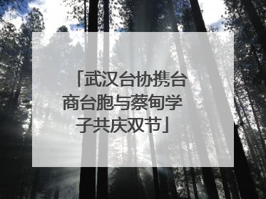 武汉台协携台商台胞与蔡甸学子共庆双节