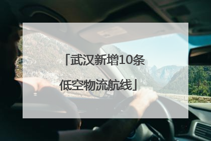 武汉新增10条低空物流航线