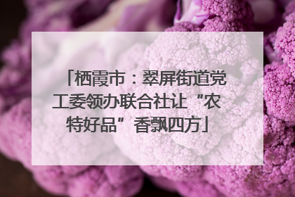 栖霞市：翠屏街道党工委领办联合社让“农特好品”香飘四方