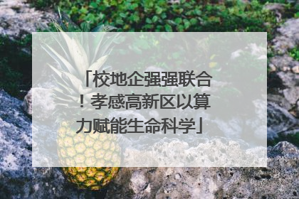 校地企强强联合！孝感高新区以算力赋能生命科学