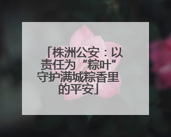 株洲公安：以责任为“粽叶”守护满城粽香里的平安