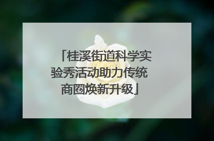 桂溪街道科学实验秀活动助力传统商圈焕新升级