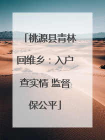 桃源县青林回维乡：入户查实情 监督保公平