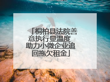 桐柏县法院善意执行显温度 助力小微企业追回拖欠租金