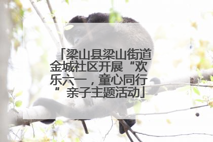 梁山县梁山街道金城社区开展“欢乐六一，童心同行”亲子主题活动