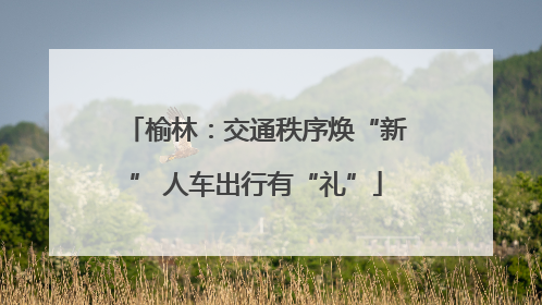 榆林：交通秩序焕“新” 人车出行有“礼”
