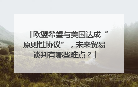 欧盟希望与美国达成“原则性协议”，未来贸易谈判有哪些难点？