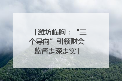 潍坊临朐：“三个导向”引领财会监督走深走实