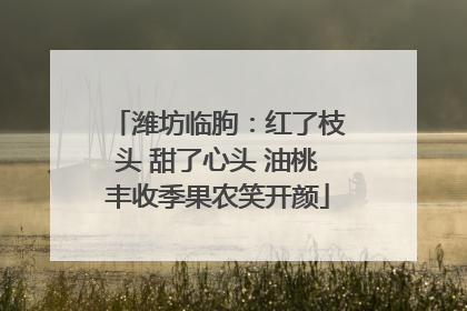潍坊临朐：红了枝头 甜了心头 油桃丰收季果农笑开颜