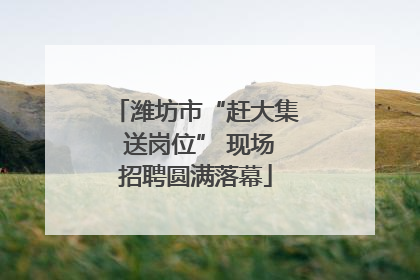 潍坊市“赶大集 送岗位” 现场招聘圆满落幕