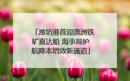 潍坊港首迎澳洲铁矿直达船 海事局护航降本增效新通道