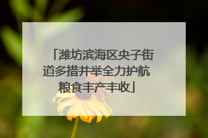 潍坊滨海区央子街道多措并举全力护航粮食丰产丰收