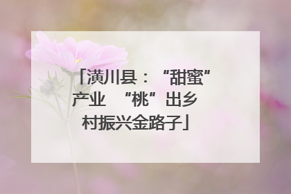 潢川县：“甜蜜”产业  “桃”出乡村振兴金路子