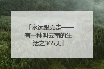 永远跟党走——有一种叫云南的生活之365天