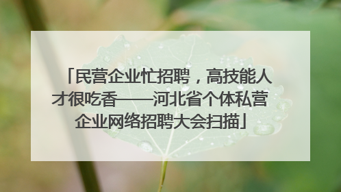 民营企业忙招聘，高技能人才很吃香——河北省个体私营企业网络招聘大会扫描