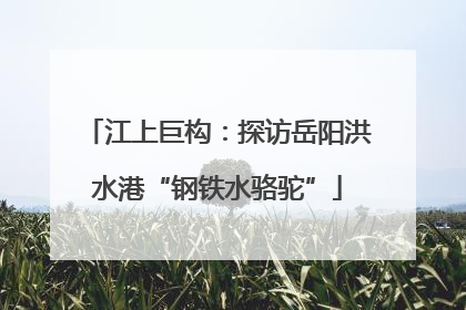 江上巨构：探访岳阳洪水港“钢铁水骆驼”