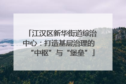江汉区新华街道综治中心：打造基层治理的“中枢”与“堡垒”