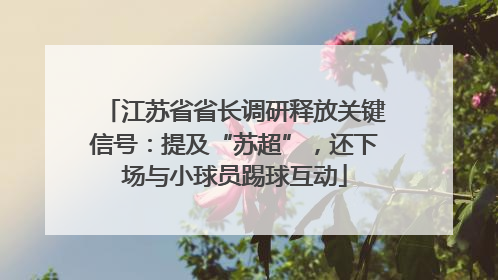 江苏省省长调研释放关键信号：提及“苏超”，还下场与小球员踢球互动
