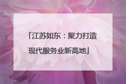 江苏如东：聚力打造现代服务业新高地