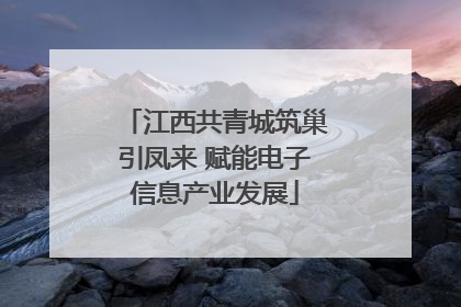 江西共青城筑巢引凤来 赋能电子信息产业发展