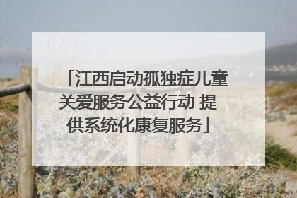 江西启动孤独症儿童关爱服务公益行动 提供系统化康复服务