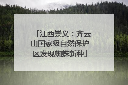 江西崇义：齐云山国家级自然保护区发现蜘蛛新种