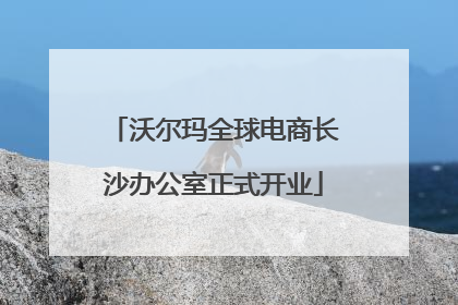 沃尔玛全球电商长沙办公室正式开业