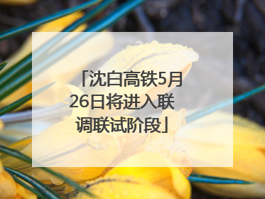 沈白高铁5月26日将进入联调联试阶段