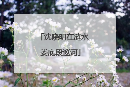 沈晓明在涟水娄底段巡河