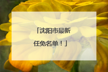 沈阳市最新任免名单！