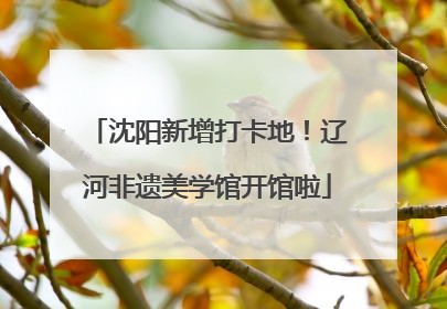 沈阳新增打卡地！辽河非遗美学馆开馆啦