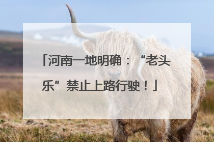 河南一地明确：“老头乐”禁止上路行驶！