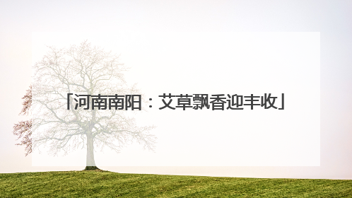 河南南阳：艾草飘香迎丰收