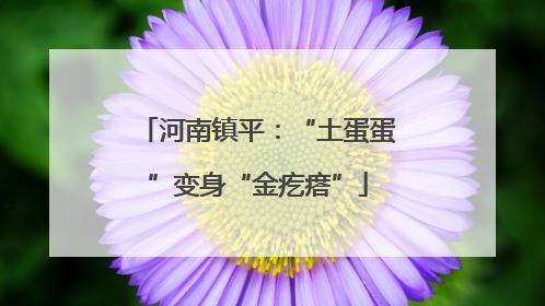 河南镇平：“土蛋蛋”变身“金疙瘩”