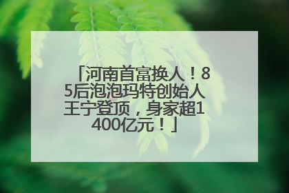 河南首富换人！85后泡泡玛特创始人王宁登顶，身家超1400亿元！