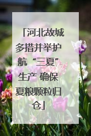 河北故城多措并举护航“三夏”生产 确保夏粮颗粒归仓