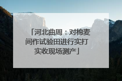 河北曲周：对棉麦间作试验田进行实打实收现场测产