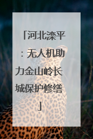 河北滦平：无人机助力金山岭长城保护修缮