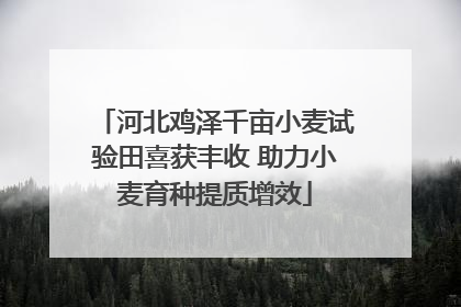 河北鸡泽千亩小麦试验田喜获丰收 助力小麦育种提质增效