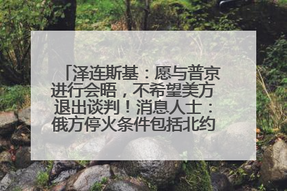 泽连斯基：愿与普京进行会晤，不希望美方退出谈判！消息人士：俄方停火条件包括北约“书面”保证不东扩