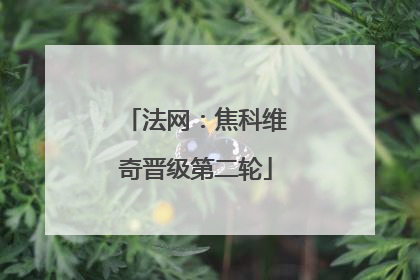 法网：焦科维奇晋级第二轮