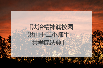 法治精神润校园 洪山十二小师生共学民法典