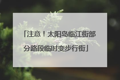 注意！太阳岛临江街部分路段临时变步行街