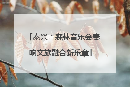 泰兴：森林音乐会奏响文旅融合新乐章
