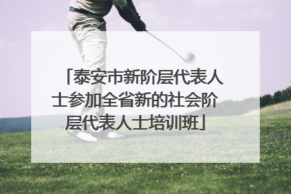 泰安市新阶层代表人士参加全省新的社会阶层代表人士培训班